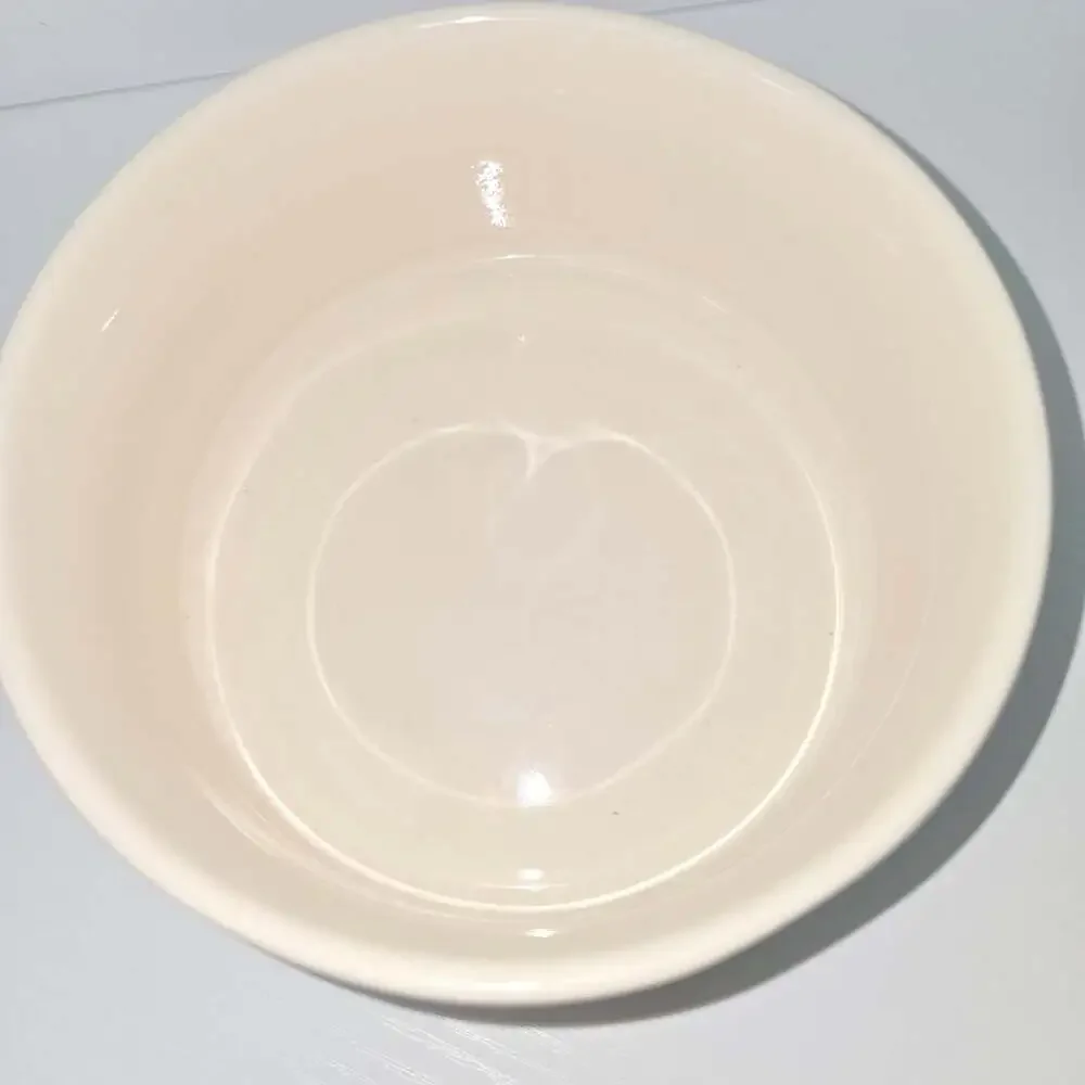 Rae Dunn GULP Ceramic Pet Food Water Bowl